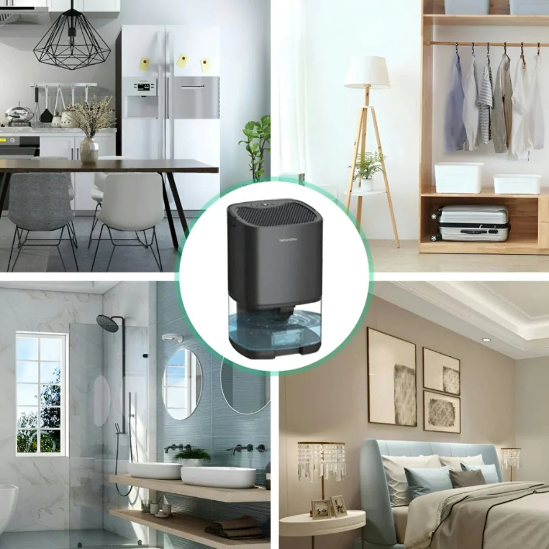 Portable Dehumidifier | Transparent Water Tank & Compact Tabletop