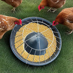Poultry Feeder | 20-Compartment Divided Design | Impact-Resistant Steel Frame