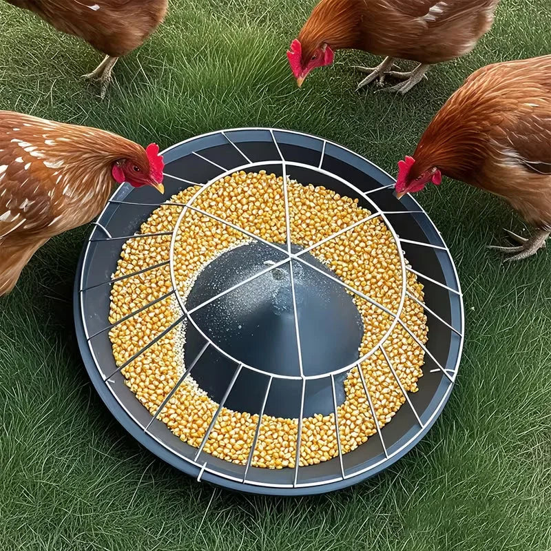 Poultry Feeder | 20-Compartment Divided Design | Impact-Resistant Steel Frame