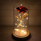 Preserved Rose | 24K Gold Leaf & Warm LED | Gift-Ready