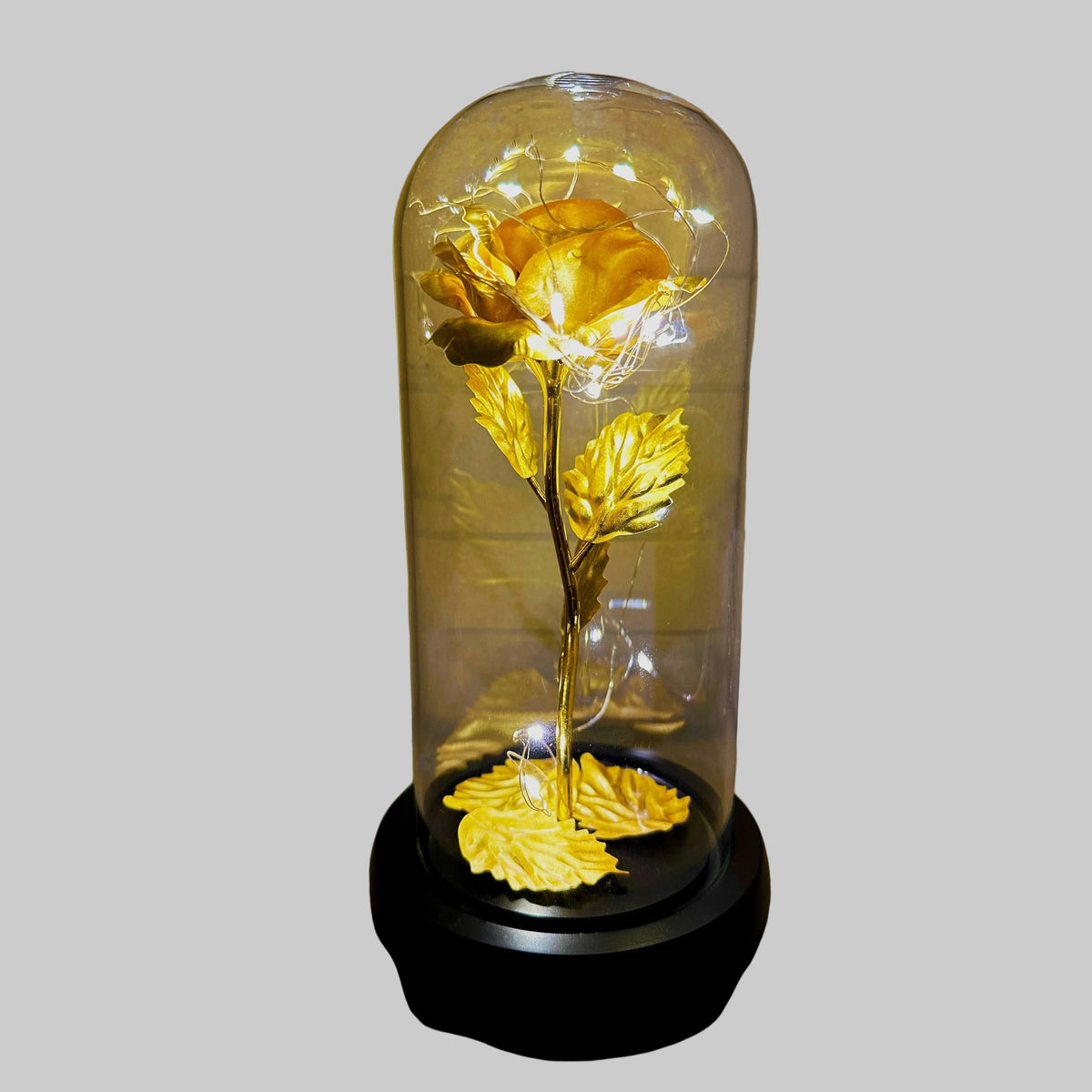 Preserved Rose | 24K Gold Leaf & Warm LED | Gift-Ready