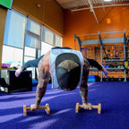 Push-Up Bars | Ergonomic Wooden & Non-Slip