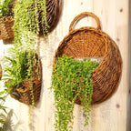 Plant Basket | Handcrafted Woven Rattan | Indoor Plant Display