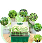 Seed Starter Tray | Full-Spectrum Grow Light | Raised Dome