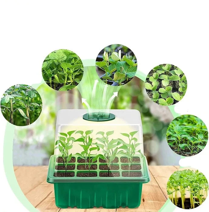 Seed Starter Tray | Full-Spectrum Grow Light | Raised Dome