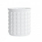 Hydroponic Flower Pot | Self-Watering System | 12 cm