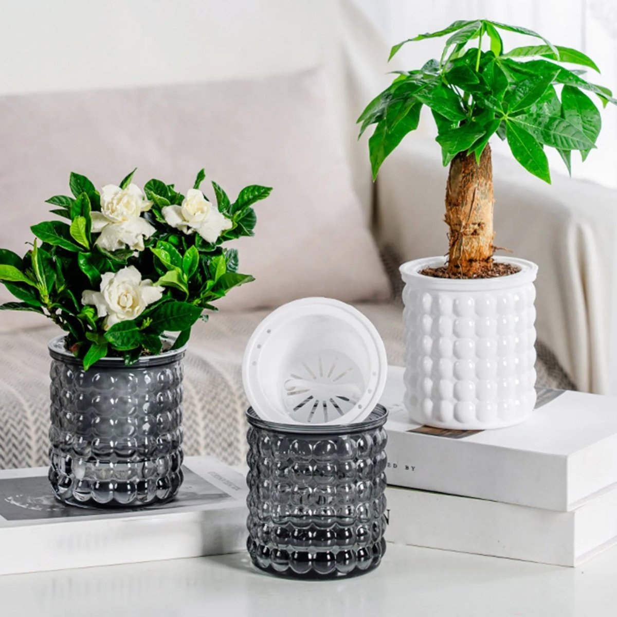 Hydroponic Flower Pot | Self-Watering System | 12 cm