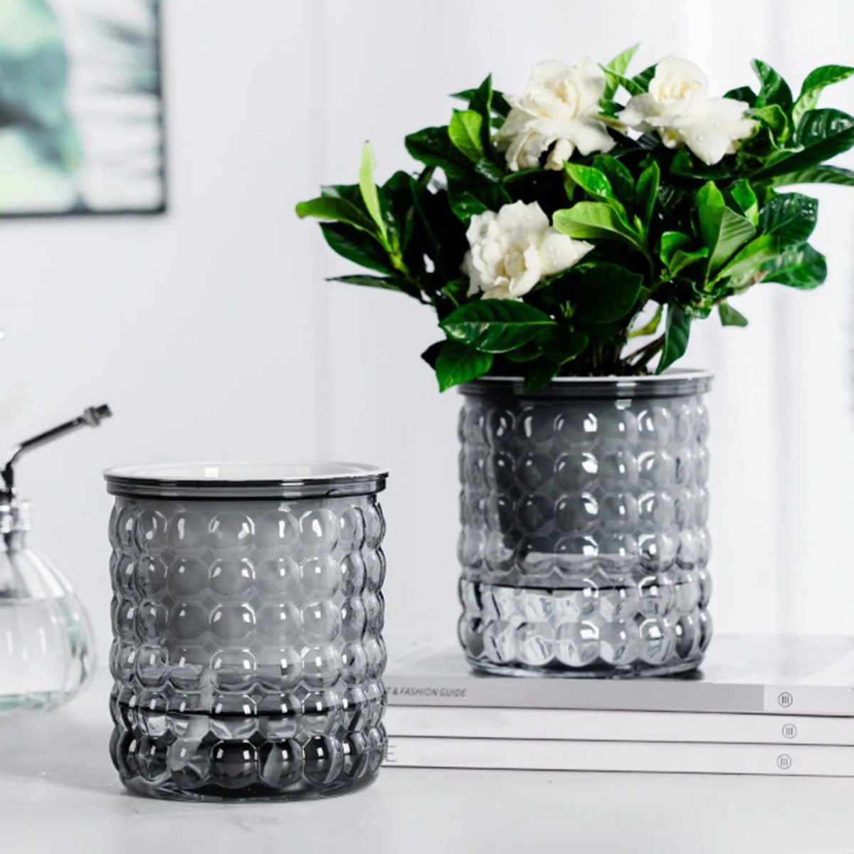 Hydroponic Flower Pot | Self-Watering System | 12 cm