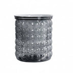 Hydroponic Flower Pot | Self-Watering System | 12 cm