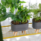 Self-Watering Pot