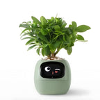 Smart Flower Pot