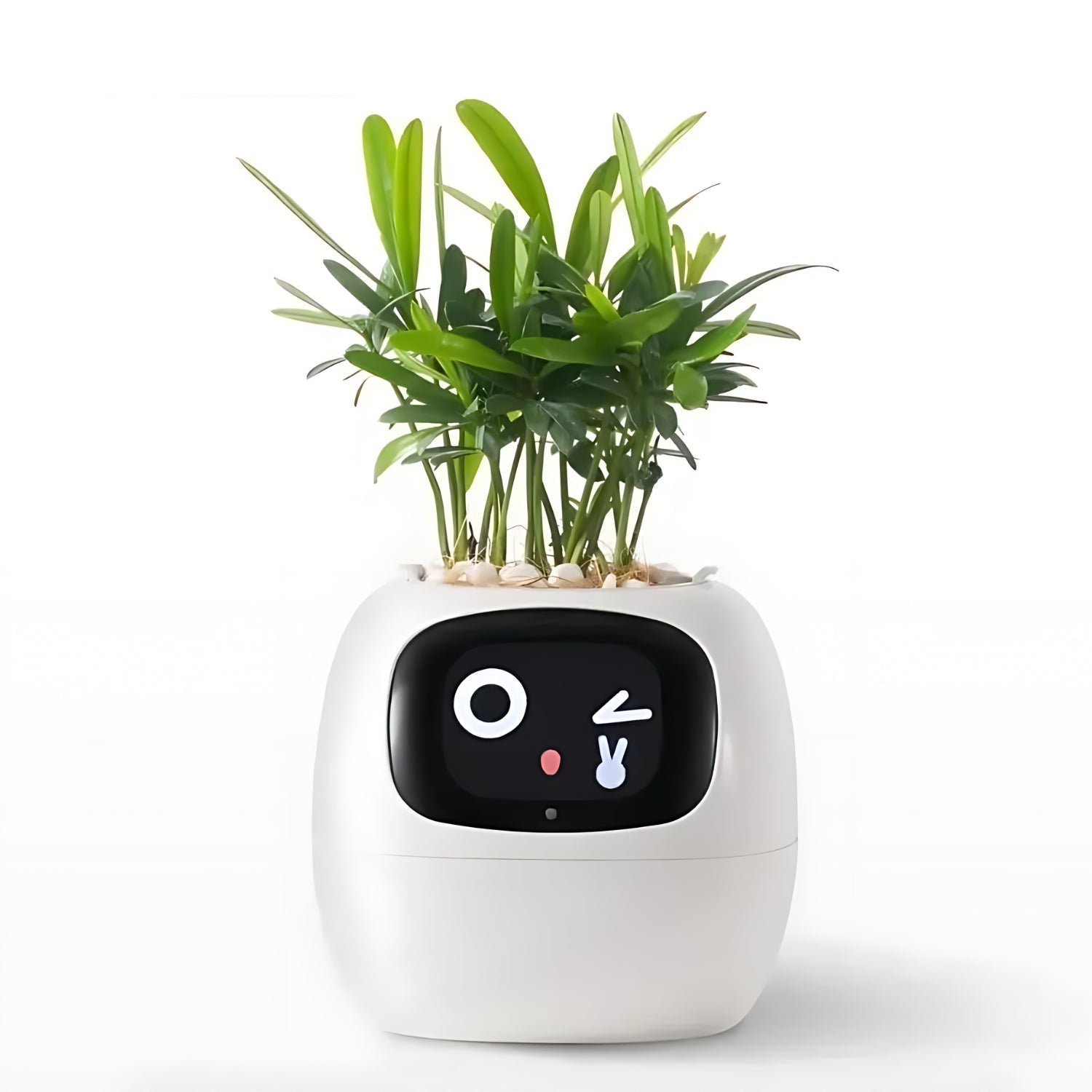 Smart Flower Pot