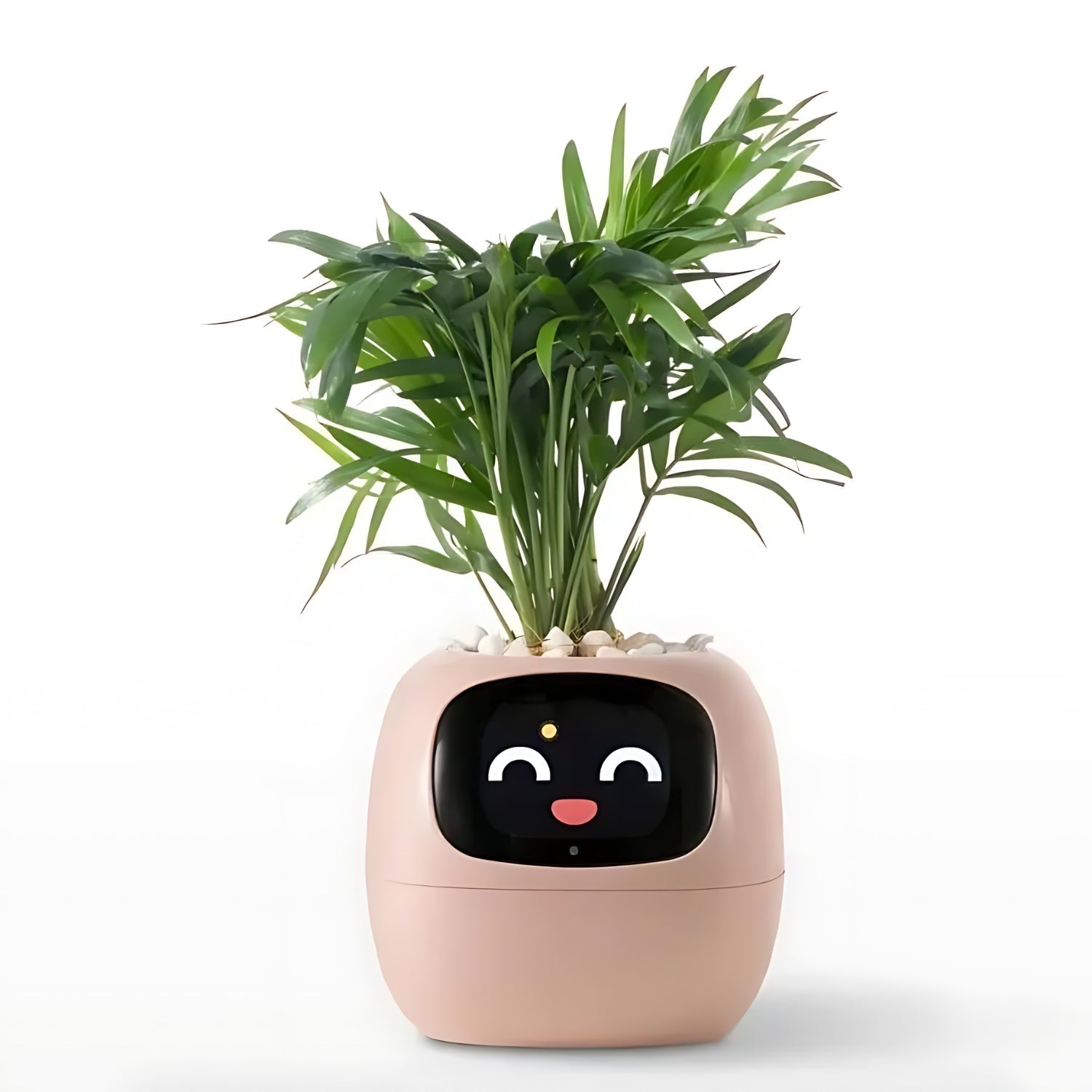 Smart Flower Pot