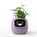 Smart Flower Pot