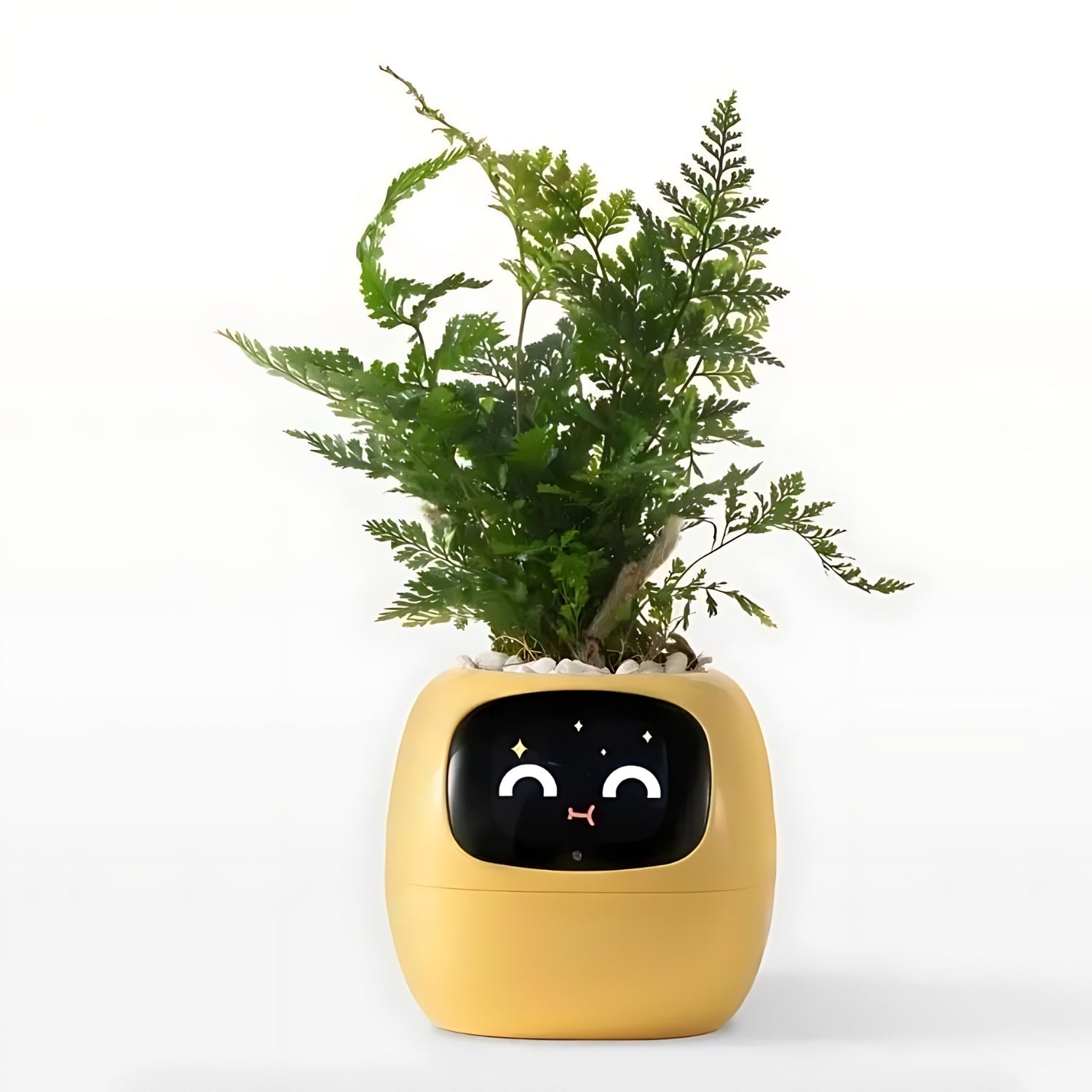 Smart Flower Pot