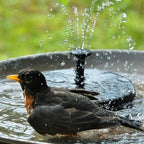 Solar Fountain | Self-Starting & Interchangeable Nozzles | 45 cm Spray Height