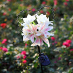 Solar Garden Stake Light | Heart-Shaped Lily Design & Weather-Resistant