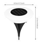 Solar Ground Light | 360° LED Ring & Auto Dusk Sensor | Set of 4