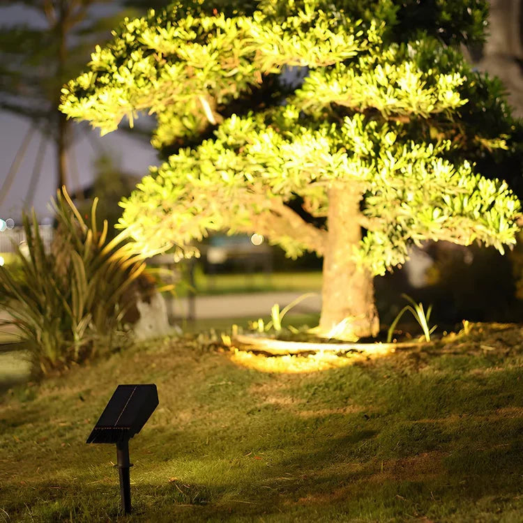 Solar Spotlight | Adjustable Zoom & RGB/Warm White