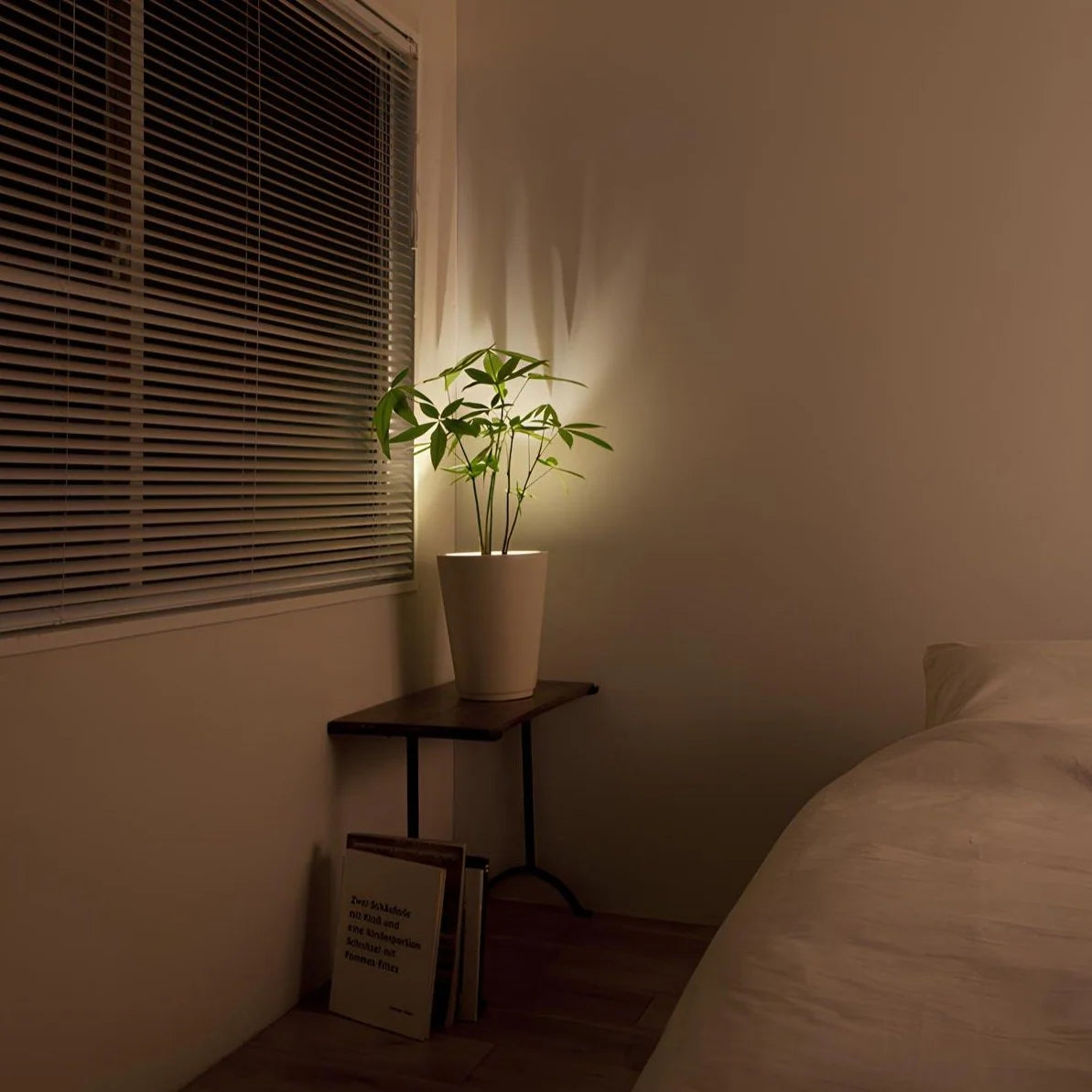 Spotlight | Remote Control, Dimmable & USB Rechargeable