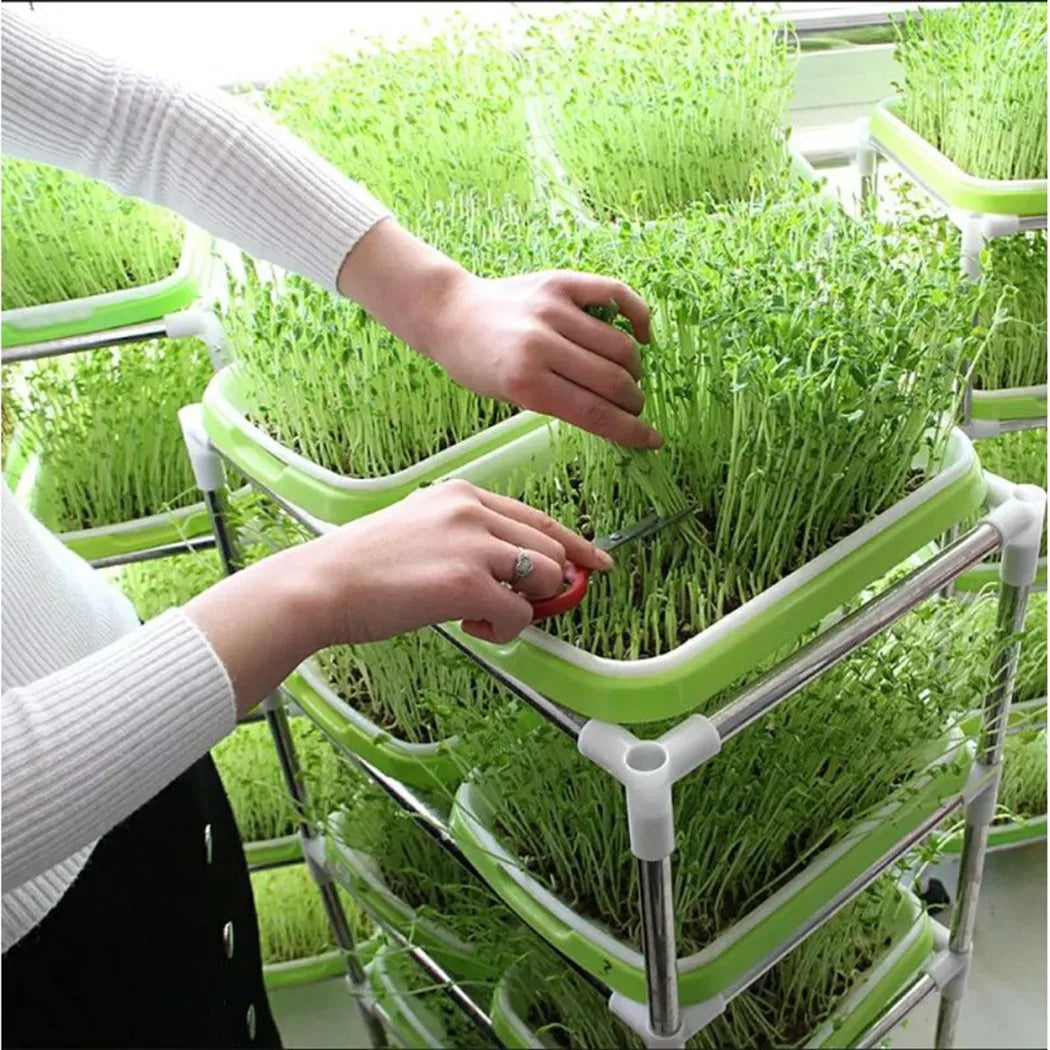 Sprouting Tray | 2-Layer Drainage System | BPA-Free & Space-Saving