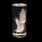Table Lamp | Real Preserved Flowers & Rechargeable