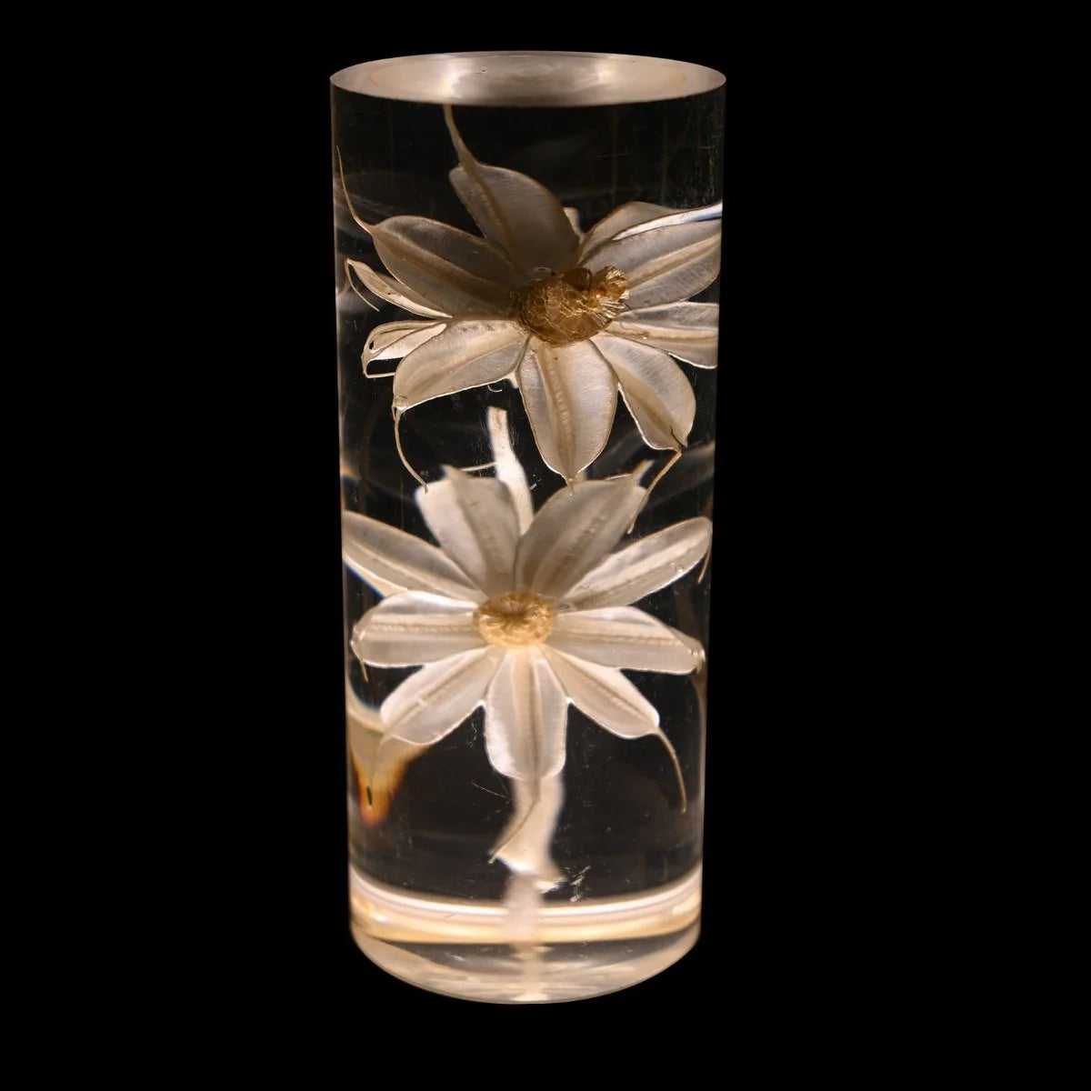 Table Lamp | Real Preserved Flowers & Rechargeable