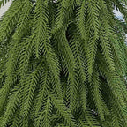 Tabletop Christmas Tree | Realistic PE & Compact | 30/45/60 cm