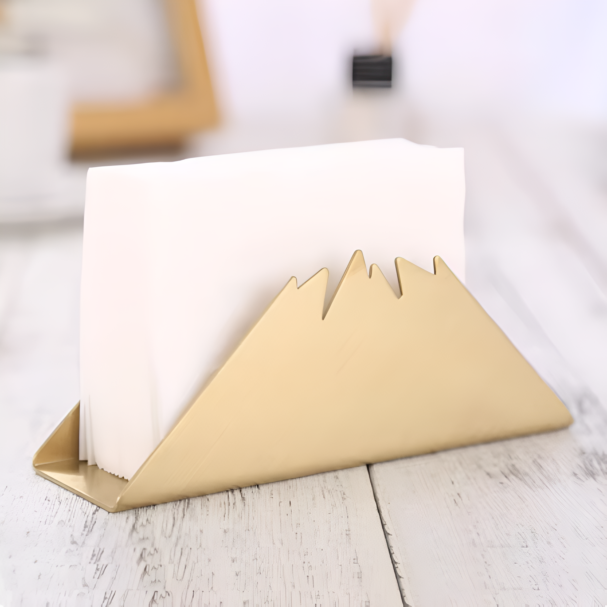 Tabletop Napkin Organizer