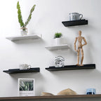 Titanium Steel Shelf Organizer
