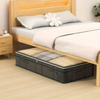 Under-Bed Storage Box | Transparent Lid & Foldable Design | Space-Saving