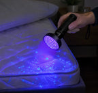 UV Flashlight | Bed Bug & Stain Detector | 100 LEDs