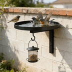 Wall-Mounted Bird Bath | Weatherproof Iron & 2-in-1 Basin & Hook | 20 cm Basin