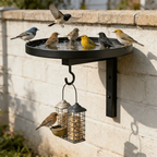 Wall-Mounted Bird Bath | Weatherproof Iron & 2-in-1 Basin & Hook | 20 cm Basin