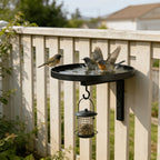 Wall-Mounted Bird Bath | Weatherproof Iron & 2-in-1 Basin & Hook | 20 cm Basin