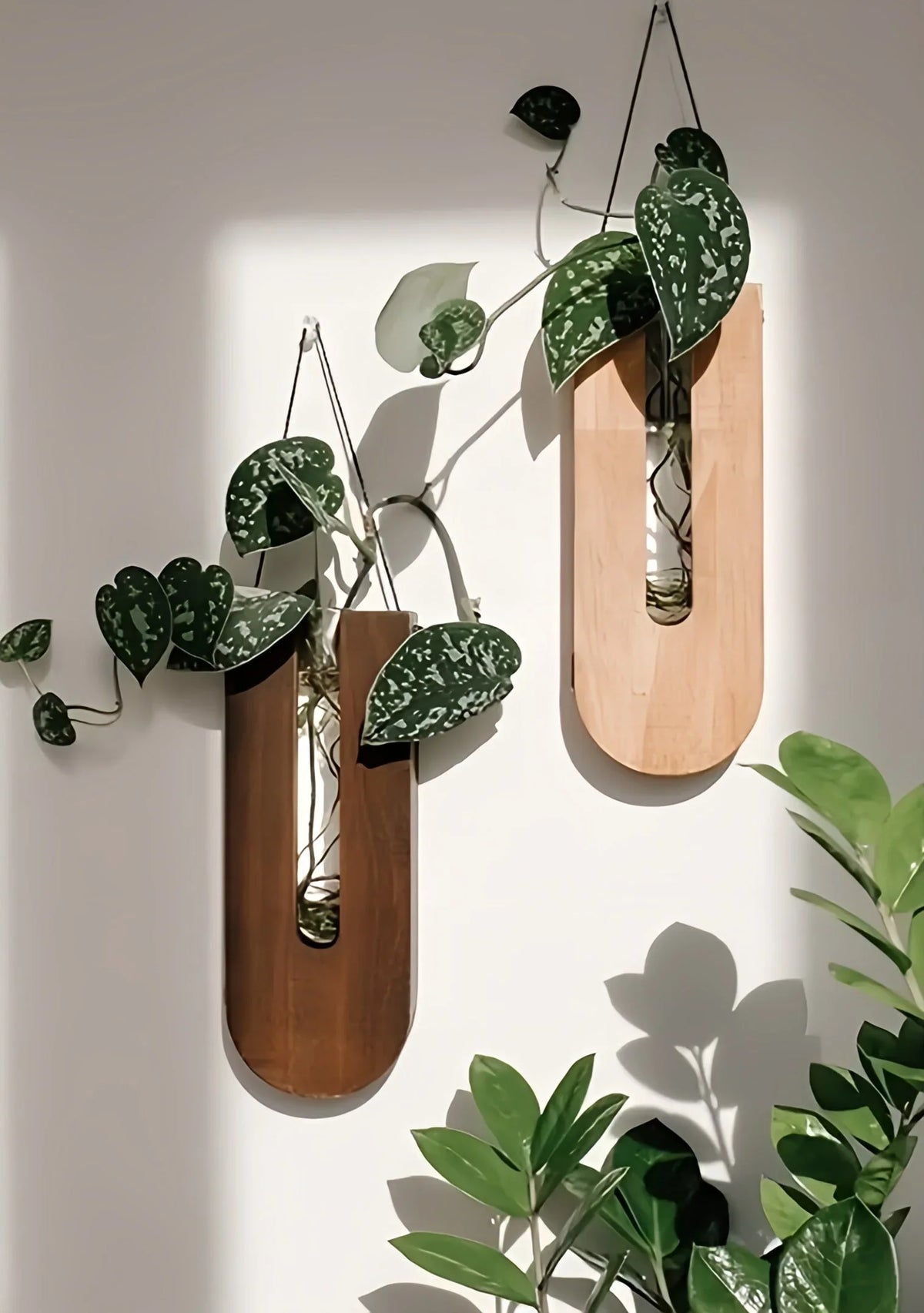 Wall Plant Holders | Natural Pine & Space-Saving | Set of 7