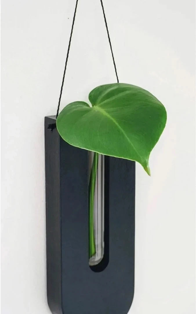Wall Plant Holders | Natural Pine & Space-Saving | Set of 7
