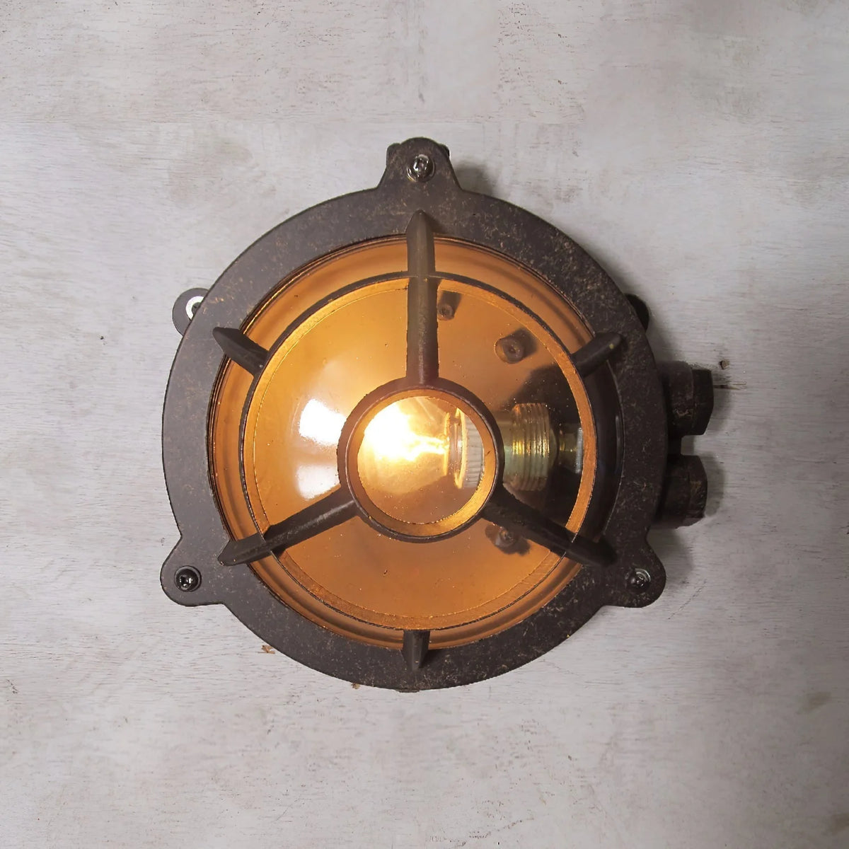 Wall Sconce | Die-Cast Aluminum & Glass Shade | Moisture-Resistant
