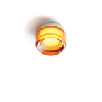 Wall Sconce | Glass Housing & Warm White LED | Push-Button Switch