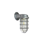 Wall Sconce | Glass Shade & Die-Cast Aluminum Body | E26/E27 Socket