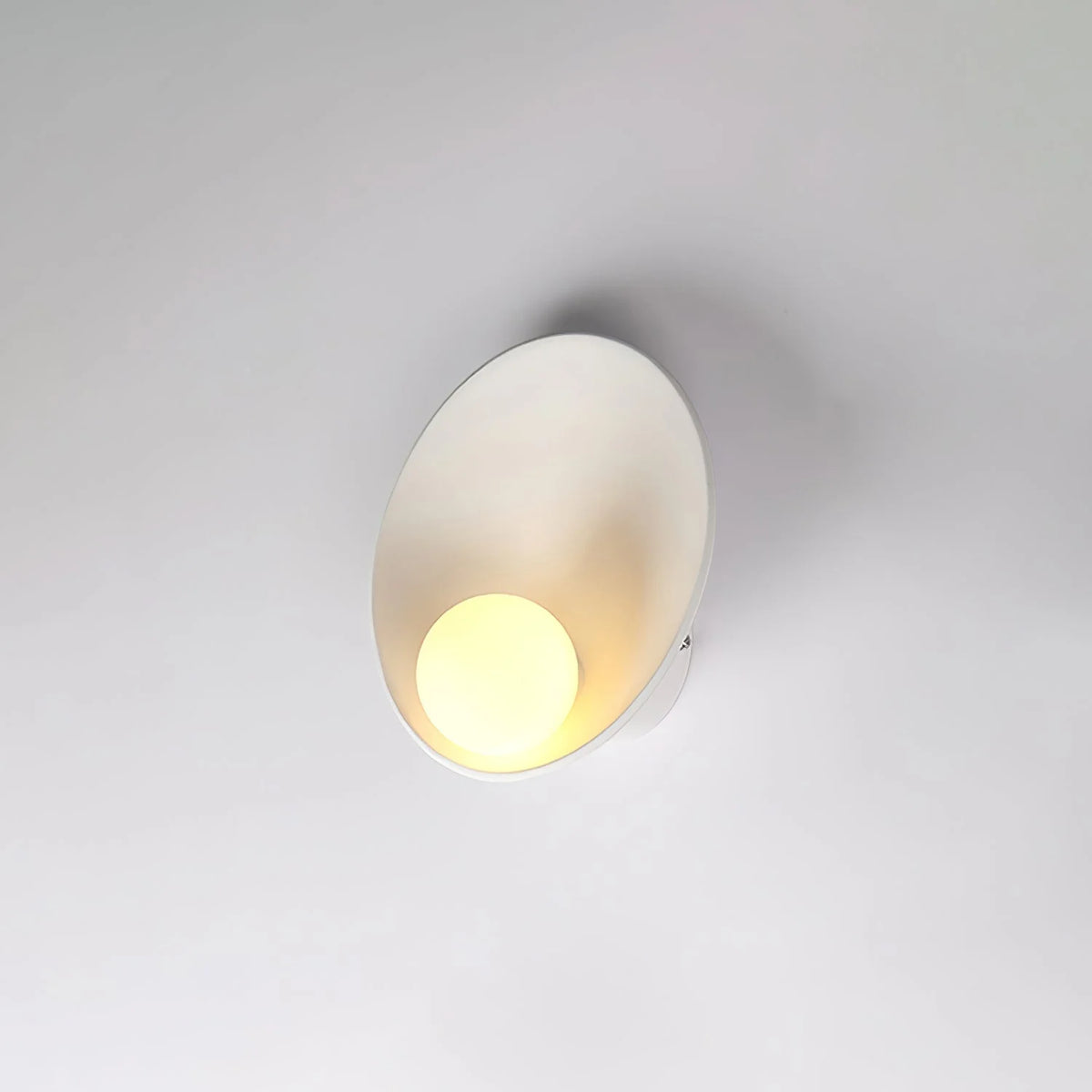 Wall Sconce | Seashell Resin & Glass | Ø 22–23 cm