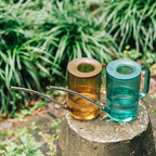 Watering Can | Long Spout & Ergonomic Handle | Leak-Proof
