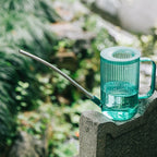 Watering Can | Long Spout & Ergonomic Handle | Leak-Proof