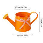 Watering Can | Perforated Spray Head | Painted Steel