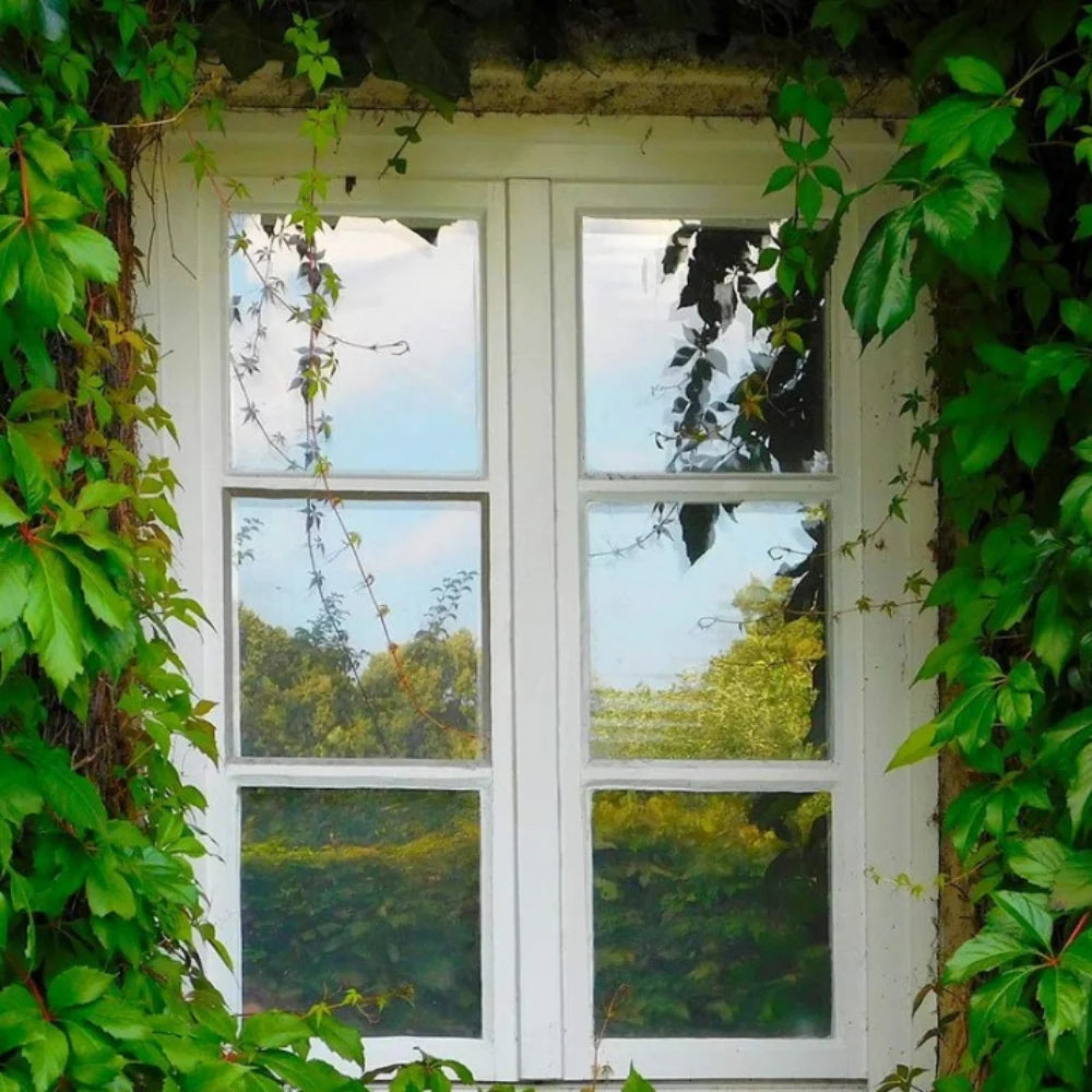 Window Film | Reflective One-Way Privacy | Heat & UV Protection