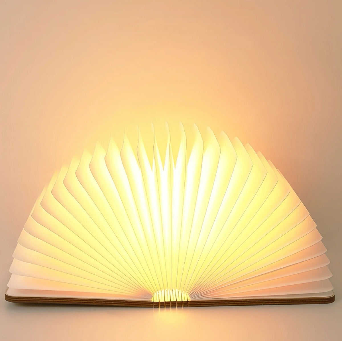 Wooden Book Lamp | Foldable LED Pages | USB Rechargeable, Three Wood Finishes