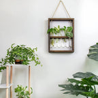 Wooden Plant Propagation Frame