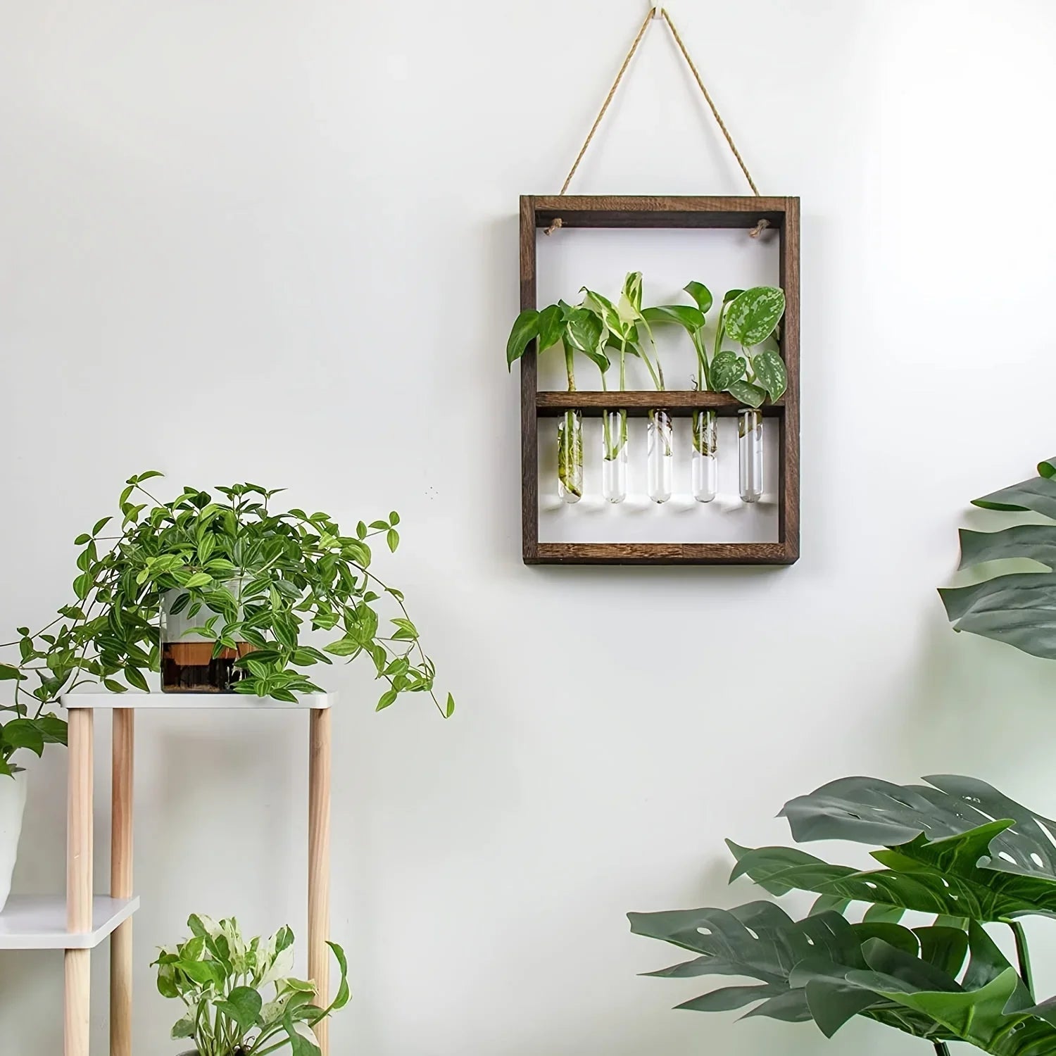 Wooden Plant Propagation Frame