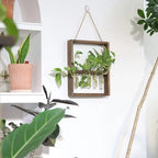Wooden Plant Propagation Frame