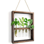 Wooden Plant Propagation Frame